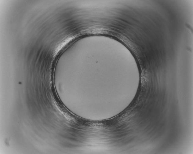 X0000102500438200808291715