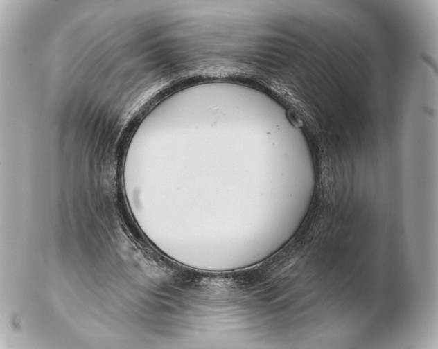 X0000102500440200808291715