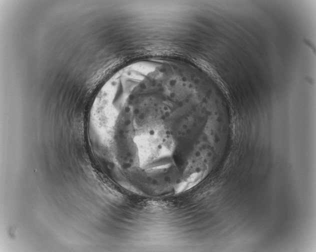 X0000102500442200808291715