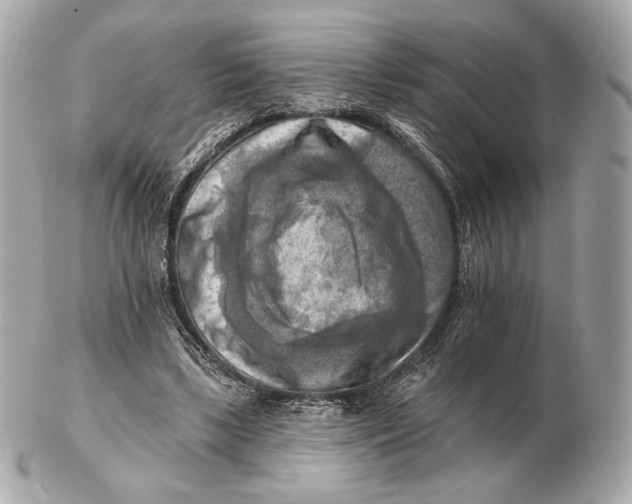 X0000102500443200808291715