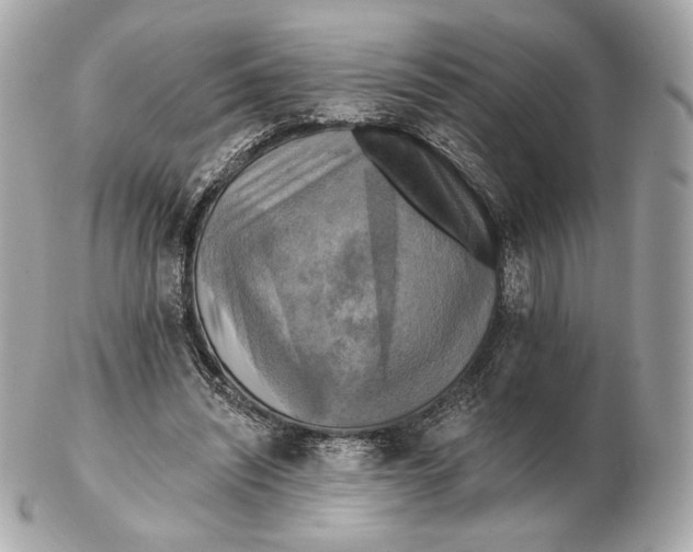 X0000102500444200808291715