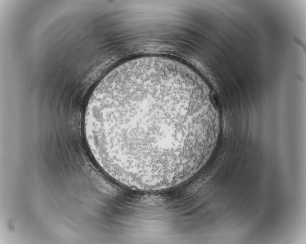 X0000102500445200808291715