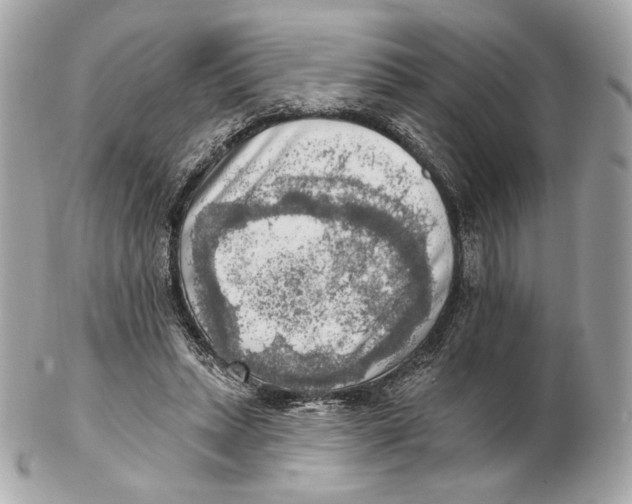 X0000102500447200808291715