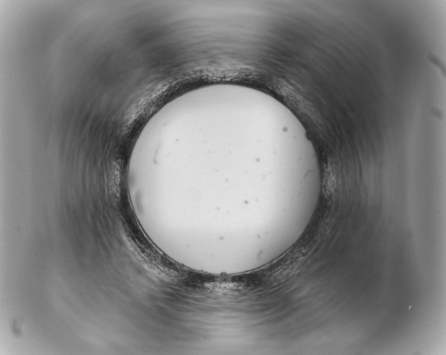 X0000102500448200808291715