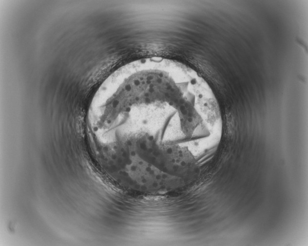 X0000102500450200808291715