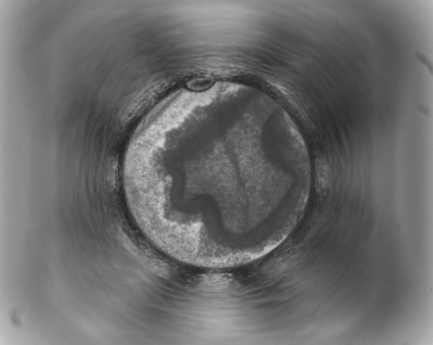 X0000102500451200808291715