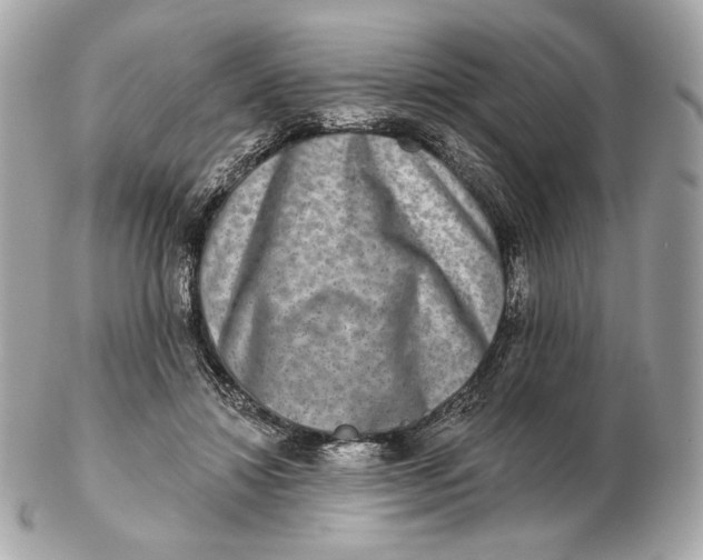 X0000102500452200808291715