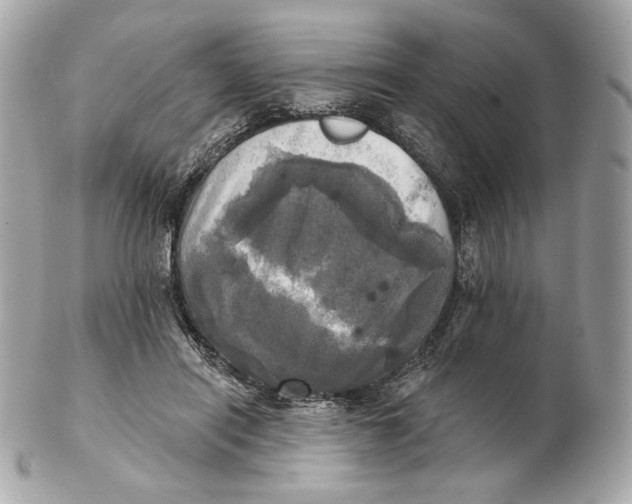 X0000102500454200808291715