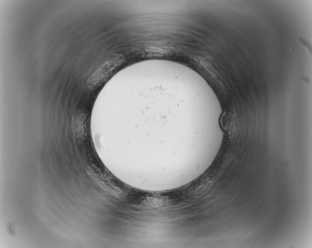 X0000102500455200808291715