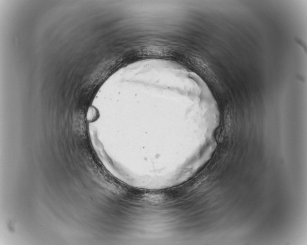 X0000102500457200808291715