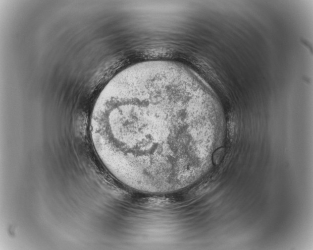 X0000102500458200808291715