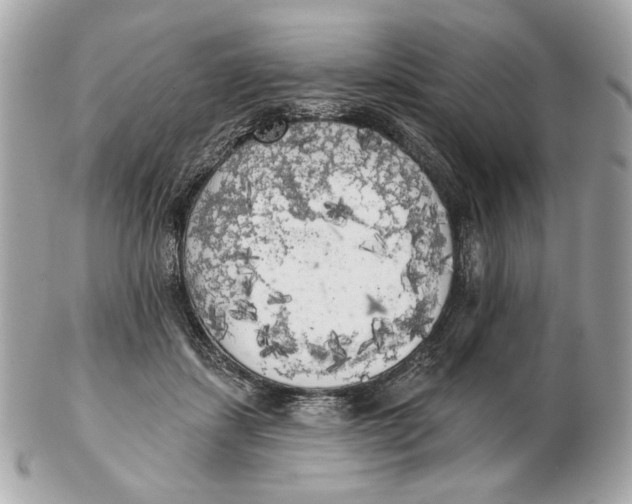 X0000102500459200808291715