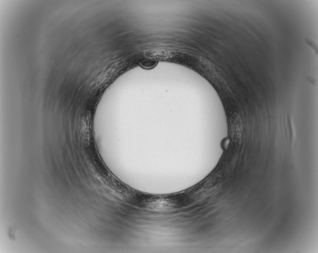 X0000102500460200808291715