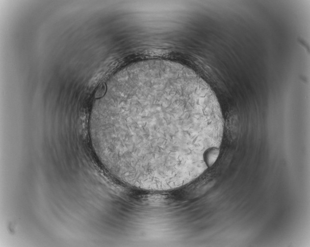 X0000102500462200808291715