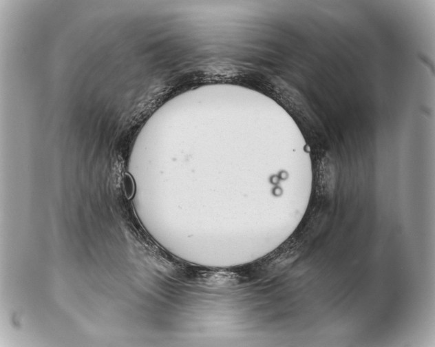 X0000102500463200808291715