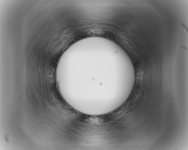 X0000102500464200808291715