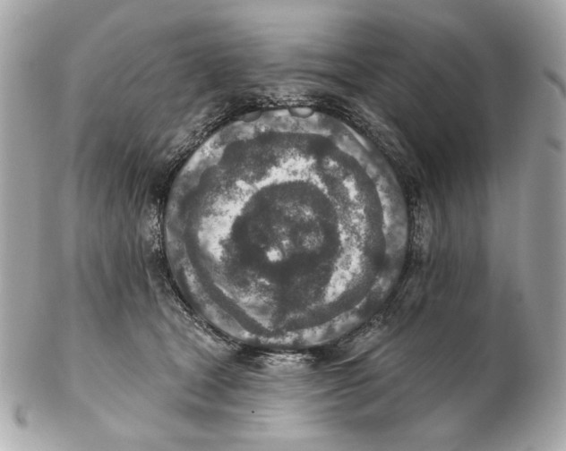 X0000102500465200808291715