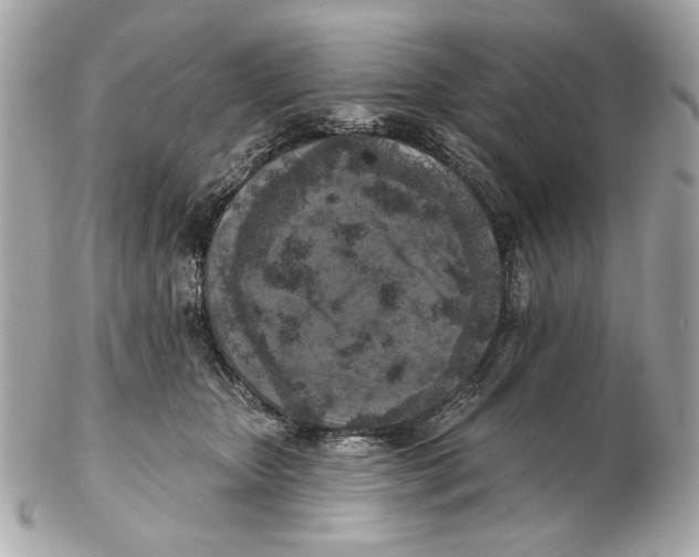 X0000102500467200808291715