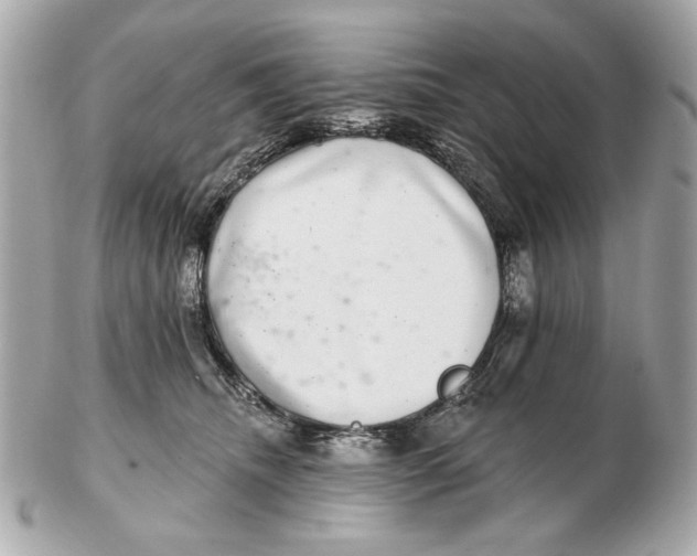 X0000102500468200808291715