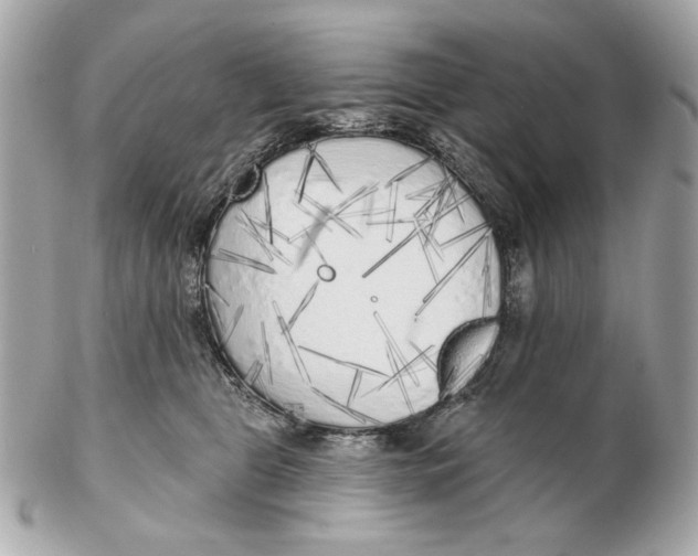 X0000102500469200808291715