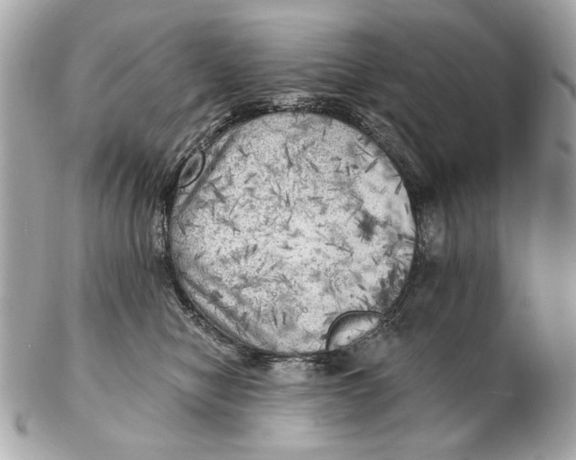 X0000102500470200808291715