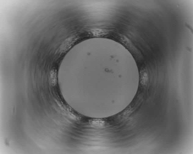 X0000102500471200808291715