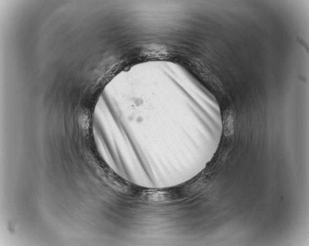 X0000102500472200808291715