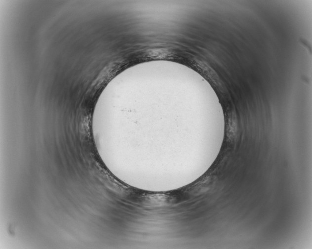 X0000102500473200808291715