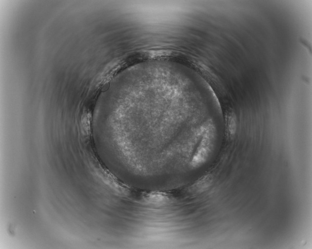 X0000102500475200808291715