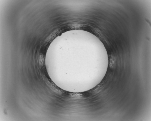 X0000102500476200808291715