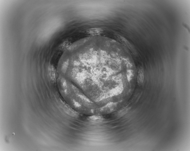 X0000102500477200808291715