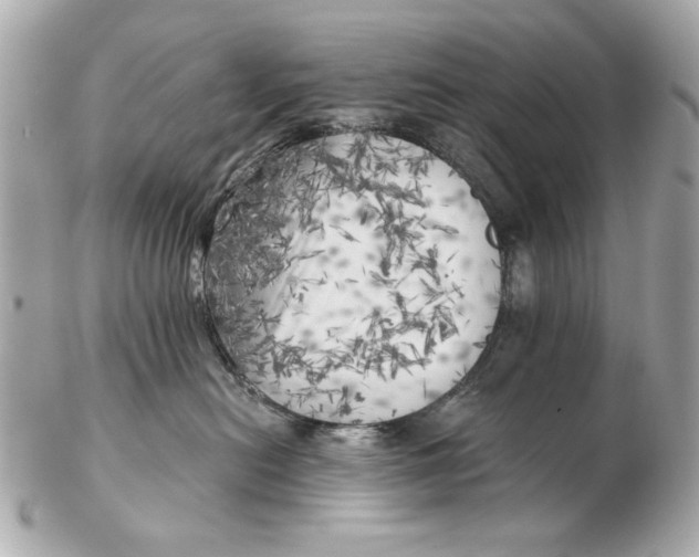 X0000102500478200808291715