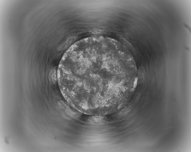 X0000102500479200808291715