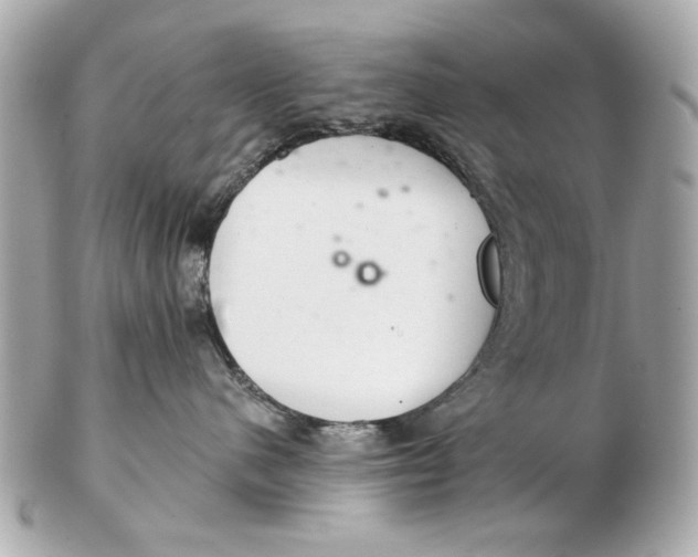 X0000102500480200808291715