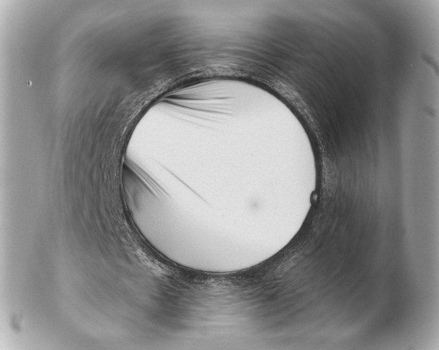 X0000102500481200808291715