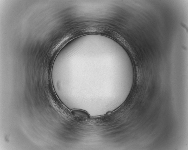 X0000102500482200808291715