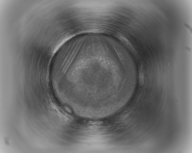 X0000102500484200808291715