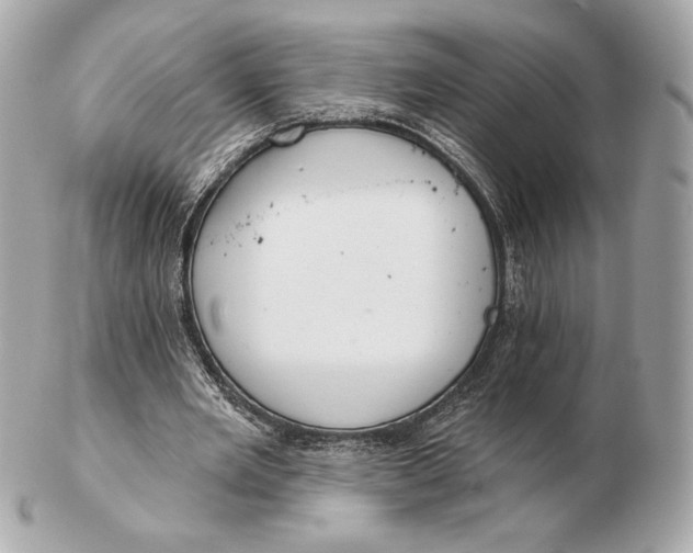 X0000102500485200808291715