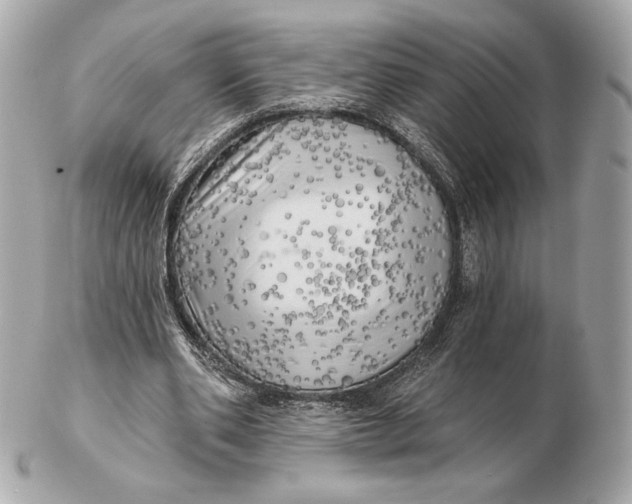 X0000102500486200808291715