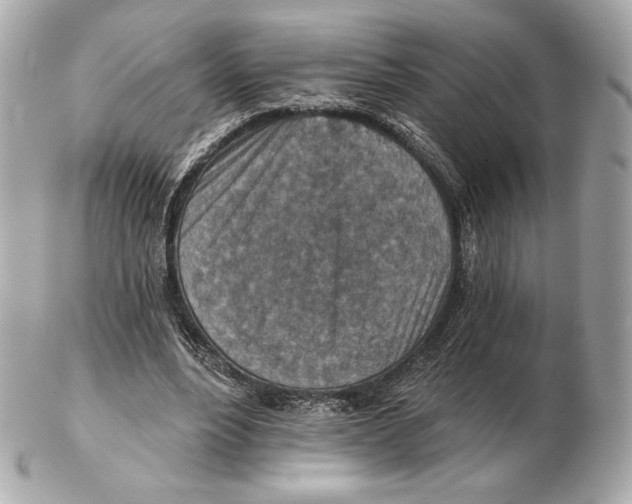 X0000102500488200808291715