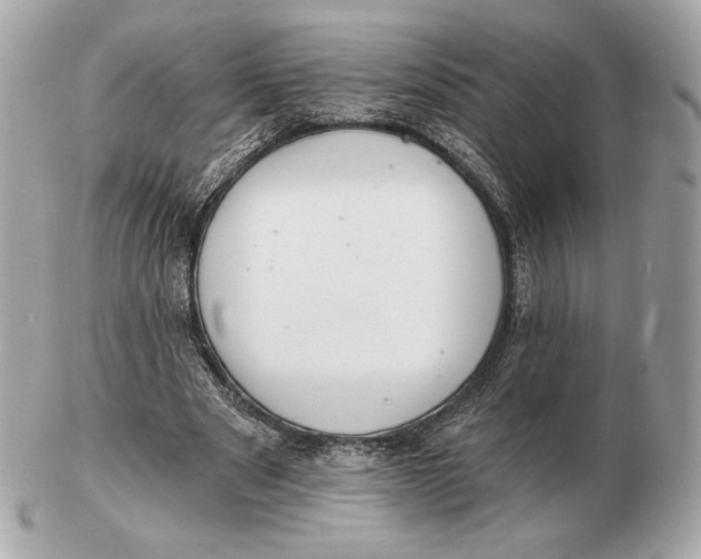 X0000102500489200808291715