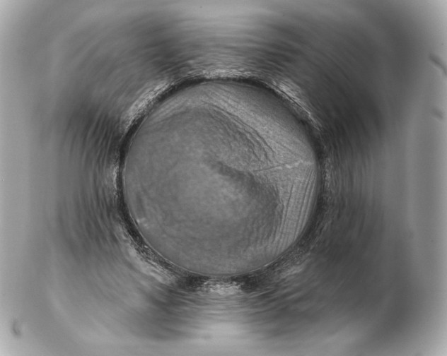 X0000102500491200808291715