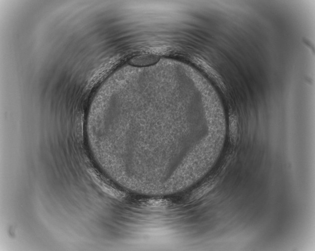 X0000102500493200808291714