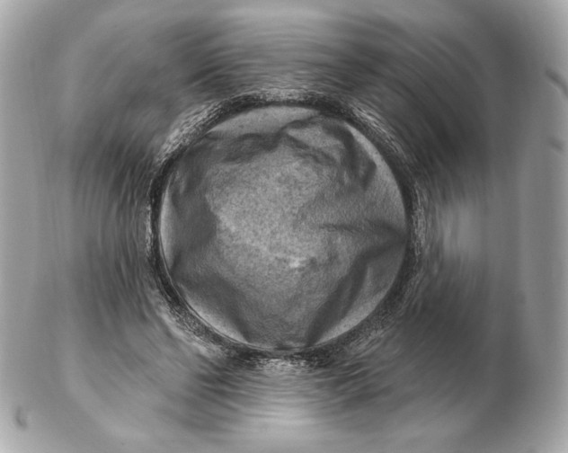 X0000102500494200808291714