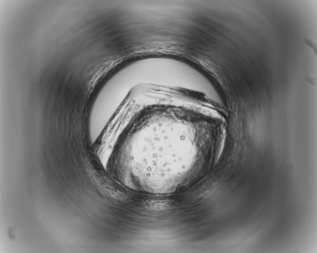 X0000102500495200808291714