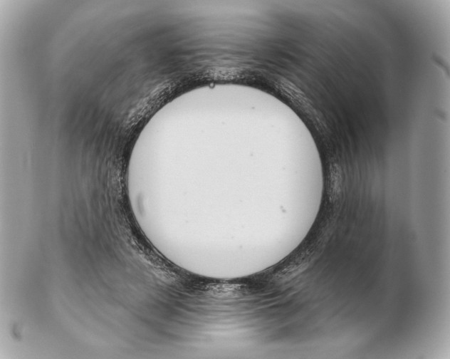 X0000102500497200808291714