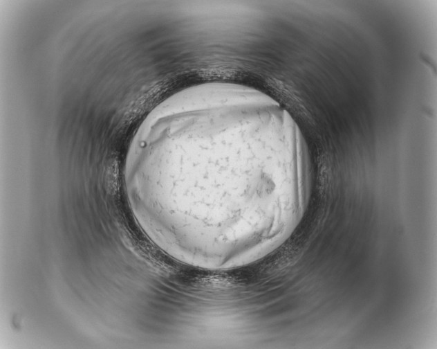 X0000102500498200808291714