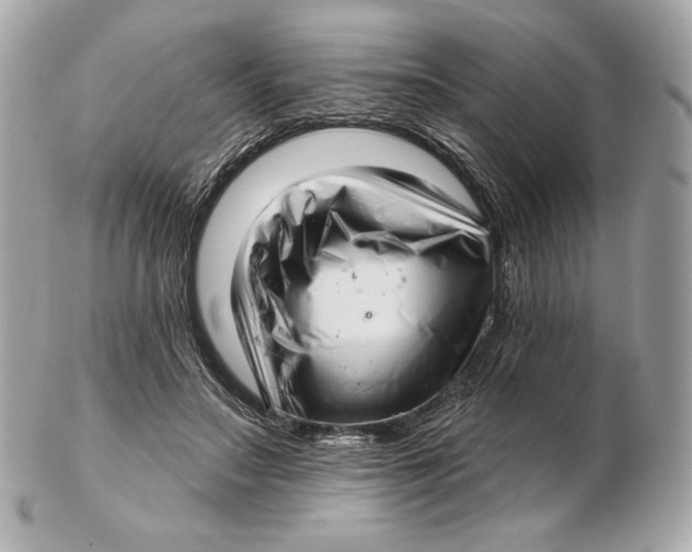 X0000102500499200808291714