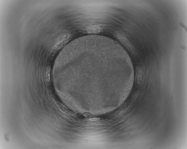 X0000102500501200808291714