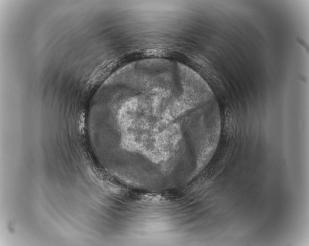 X0000102500502200808291714